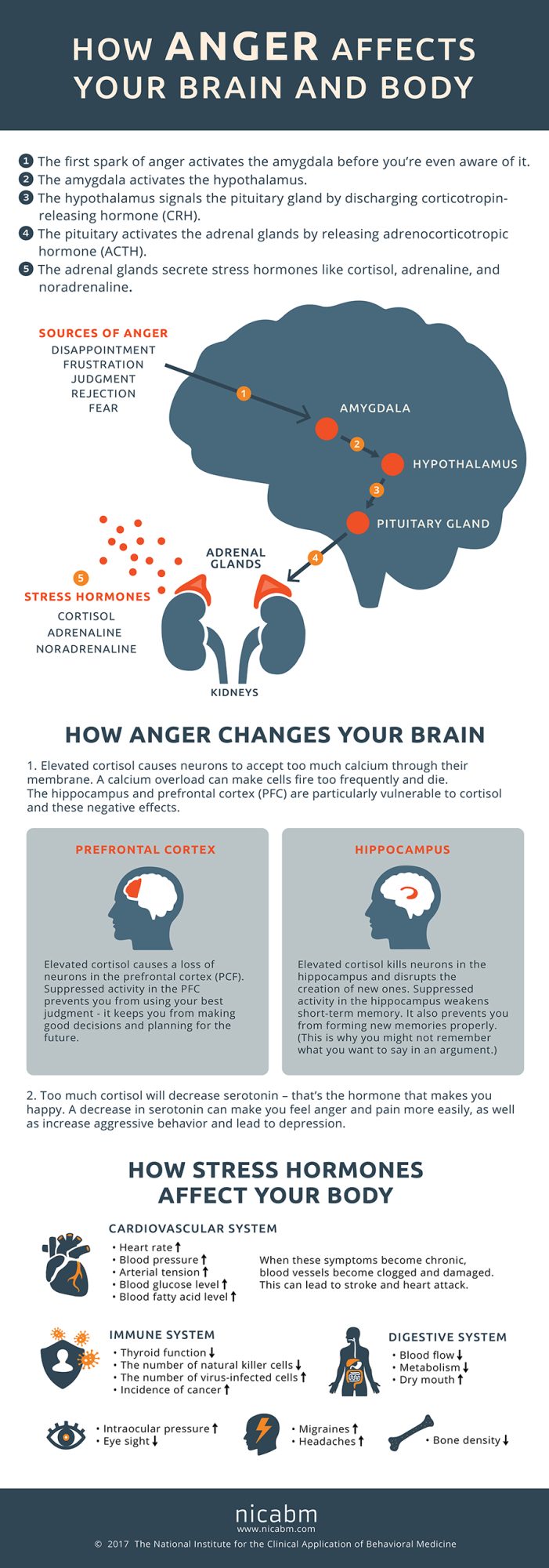 "How anger affects your brain and body" Infographic