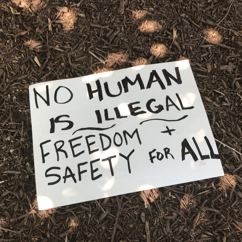 Sign on grass & leaves that says, "No human is illegal. Freedom and safety for all."