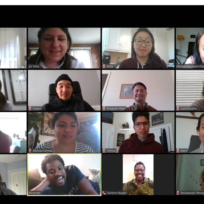A mixed group of 16 people, together in a video chat.